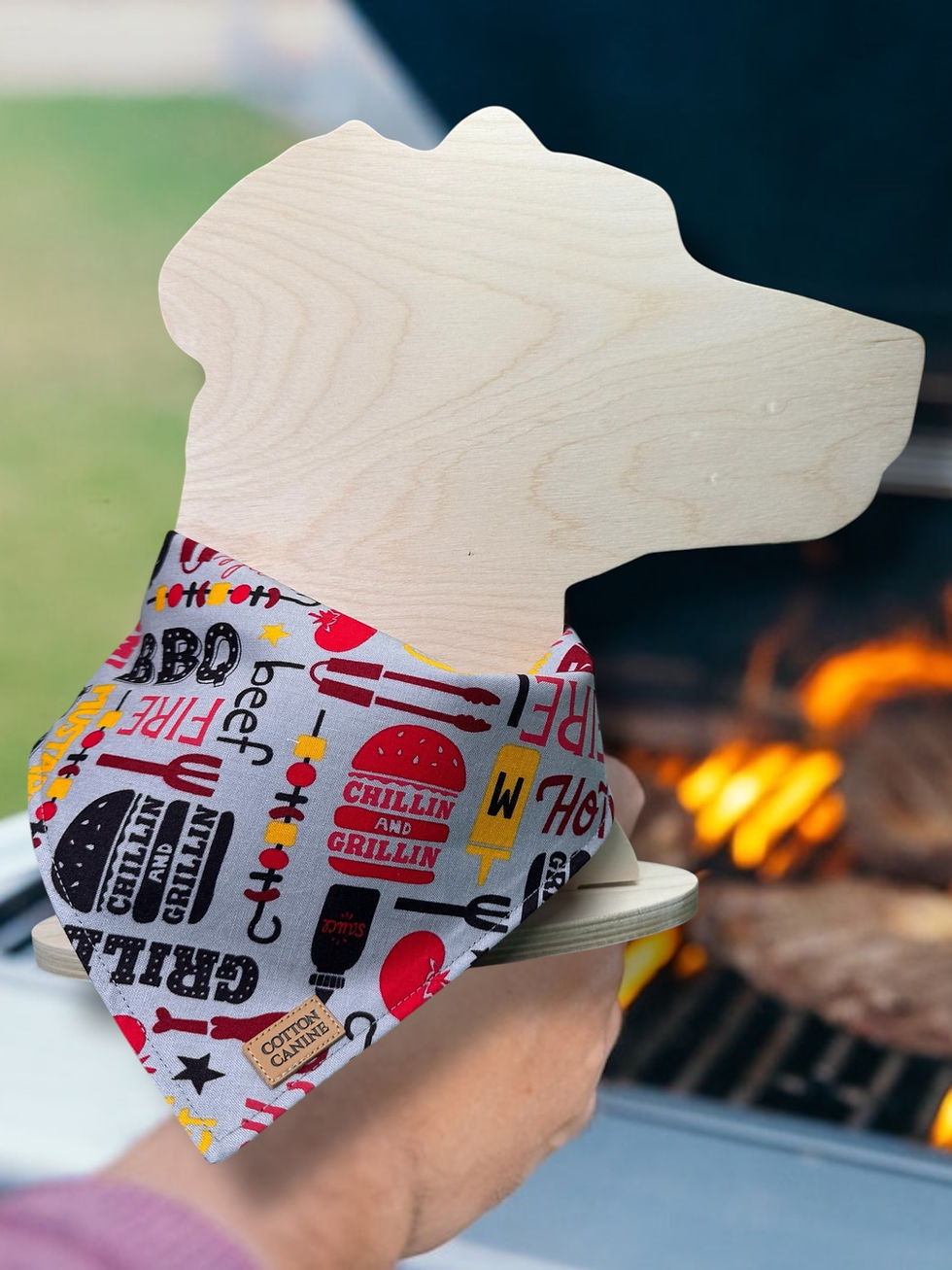 Thumbnail: Backyard BBQ