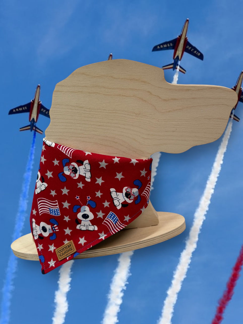 Thumbnail: Celebrating Dogs - Stars