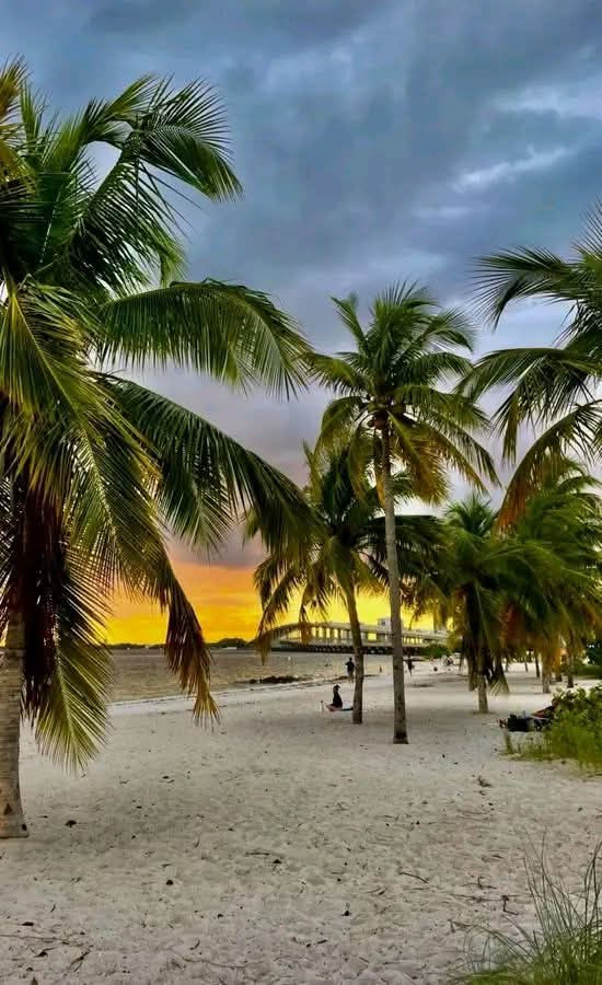 Coucher de Soleil Ă key Biscayne