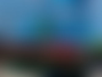 Se déplacer gratuitement à Miami en 2026 : mon guide pratique