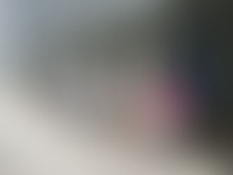 Explorez Miami en Famille : Aventures Captivantes avec Vos Enfants et Astuces Pratiques