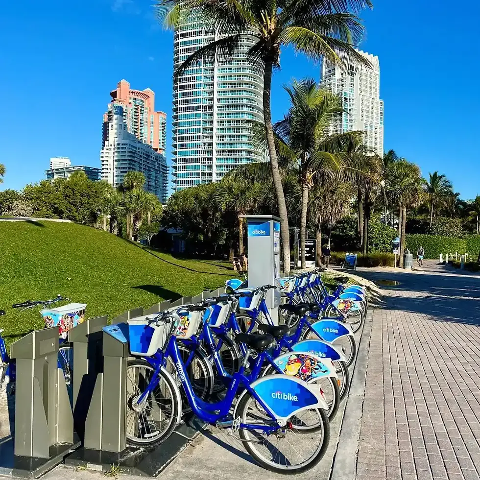 Une rangée de vélos en libre-service bleus de la marque Citi Bike stationnés en extérieur avec des palmiers et des immeubles en arrière-plan.