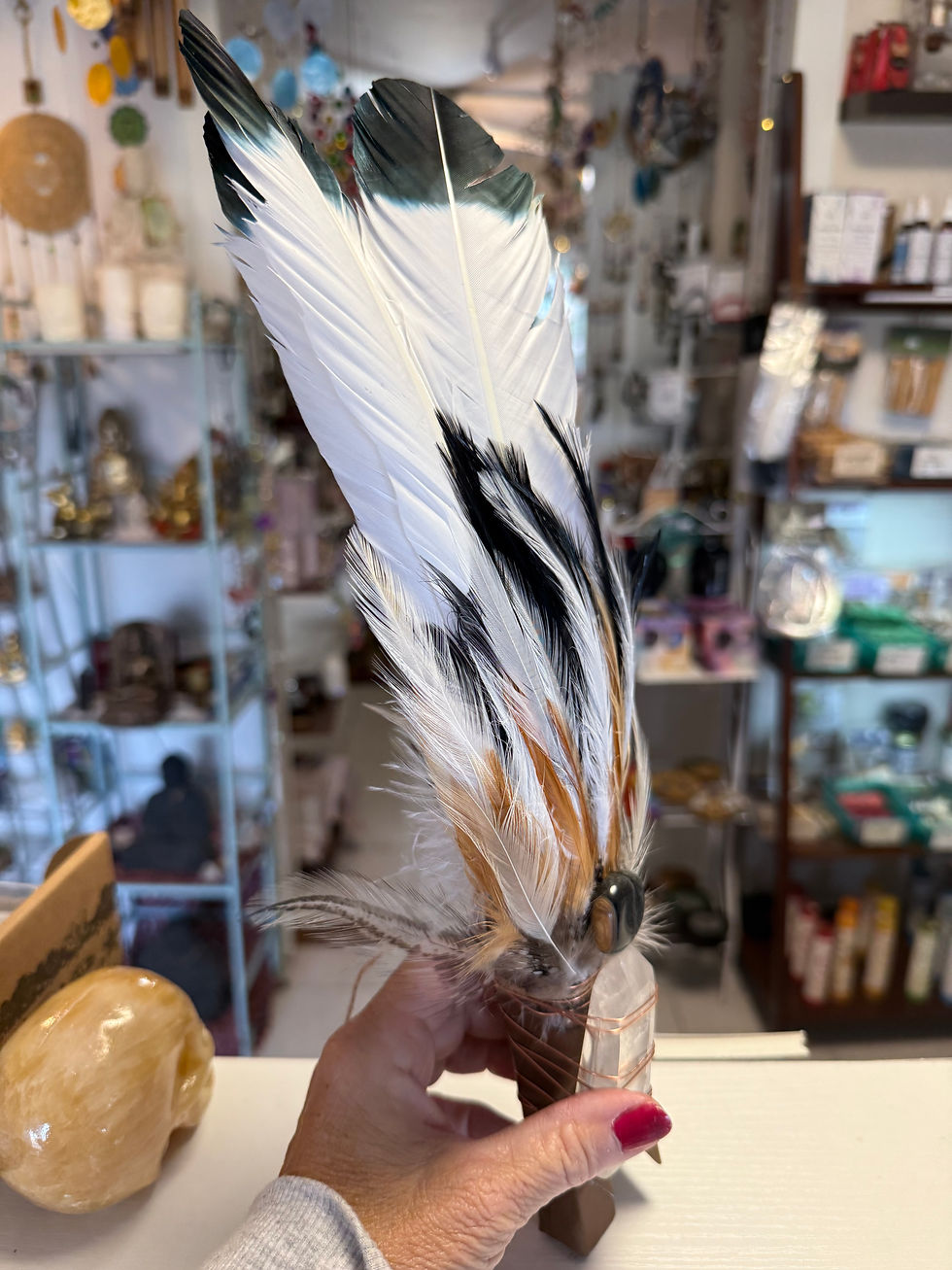Thumbnail: Ceremonial smudge feather