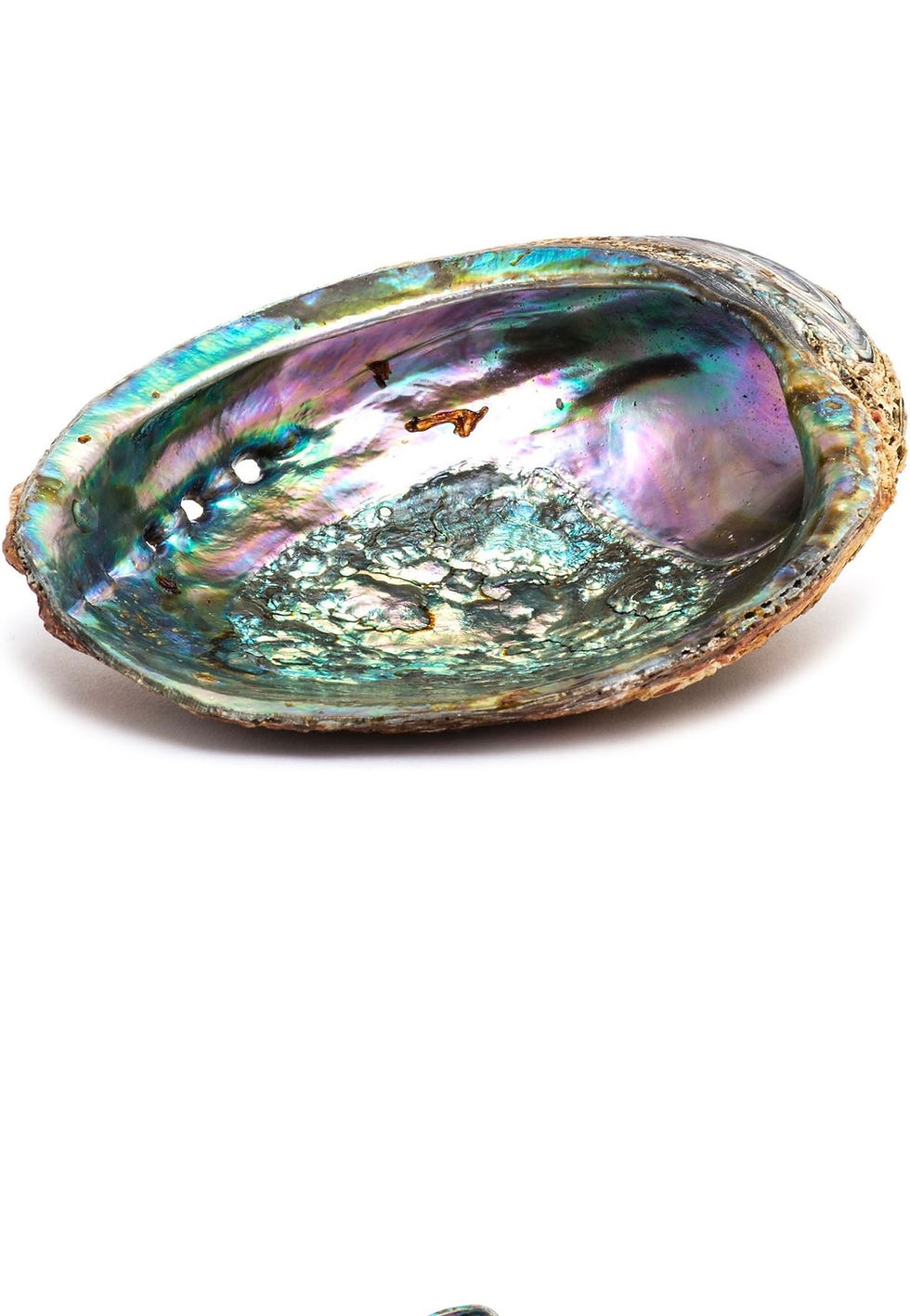 Mystic Moon spiritual products including crystals, tarot cards, ritual tools, and holistic wellness items for mind, body, and soul.