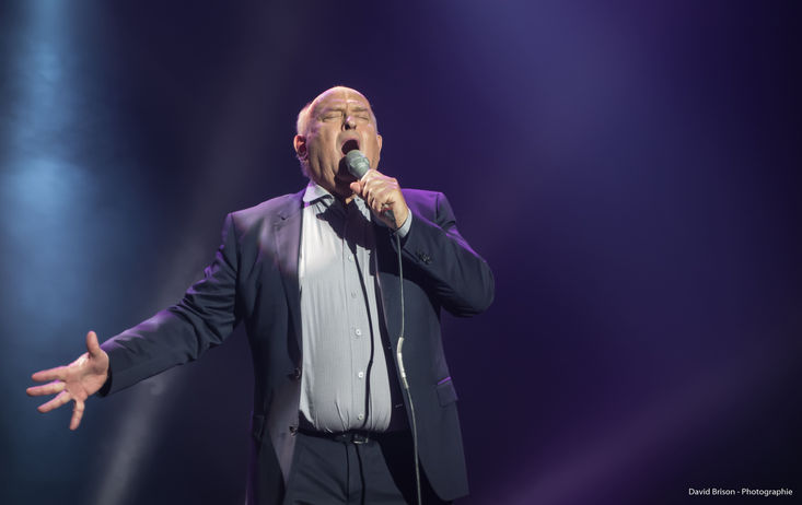 photo de David Brison