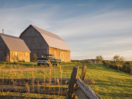 Exploring the Hidden Charms of Prince Edward County Beyond the Tourist Trails