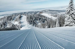 33107381_1477878982318410_2141980317425074176_n