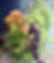 thumbnail_PA171229_edited.jpg