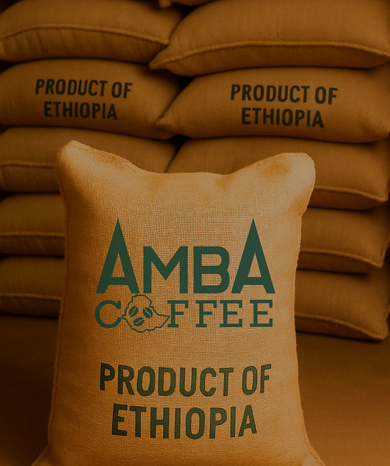 Untitled design (13)_edited.jpg