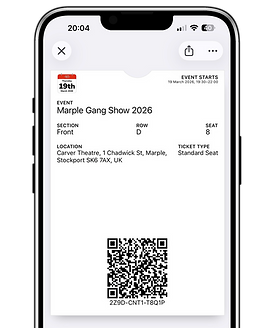 iPhone Graphic - Tickets.png