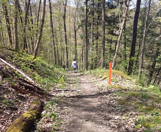 Trail at Hellbender.jpg