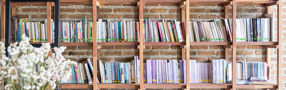Library Bookshelves_edited.png
