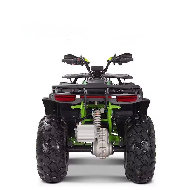 Miniature : TITAN X6   Adulte