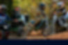 montage_edited.jpg
