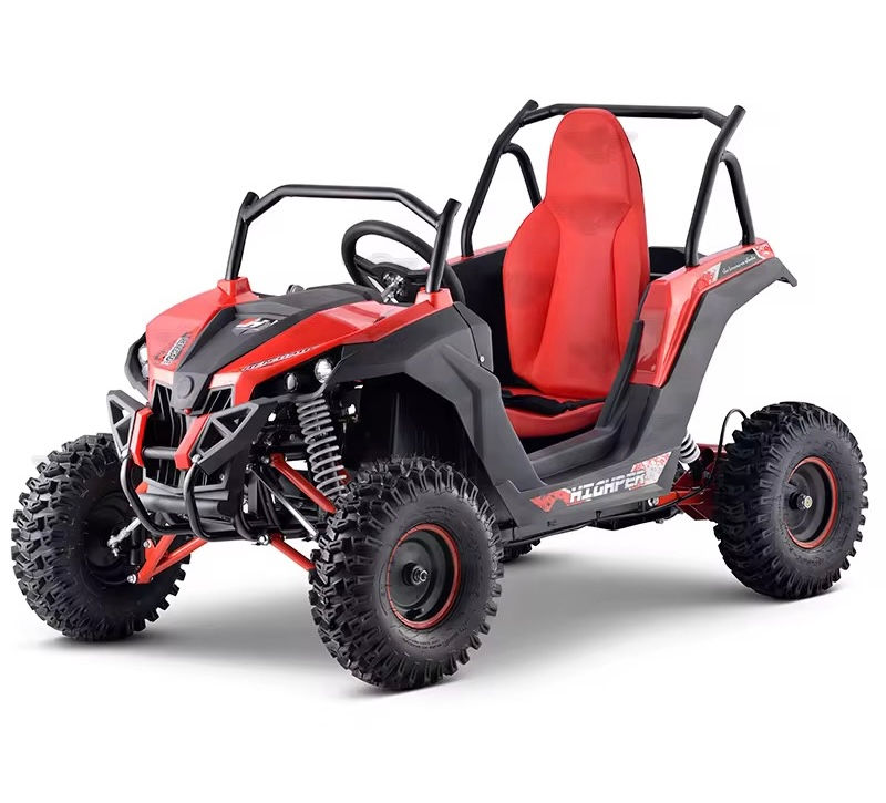 Miniature : STORM BUGGY  1200