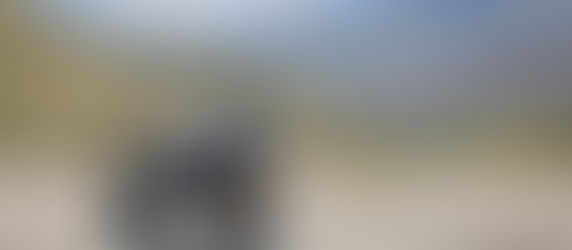 BMW Motorrad Modelle 2026: Alles Neue auf einen Blick