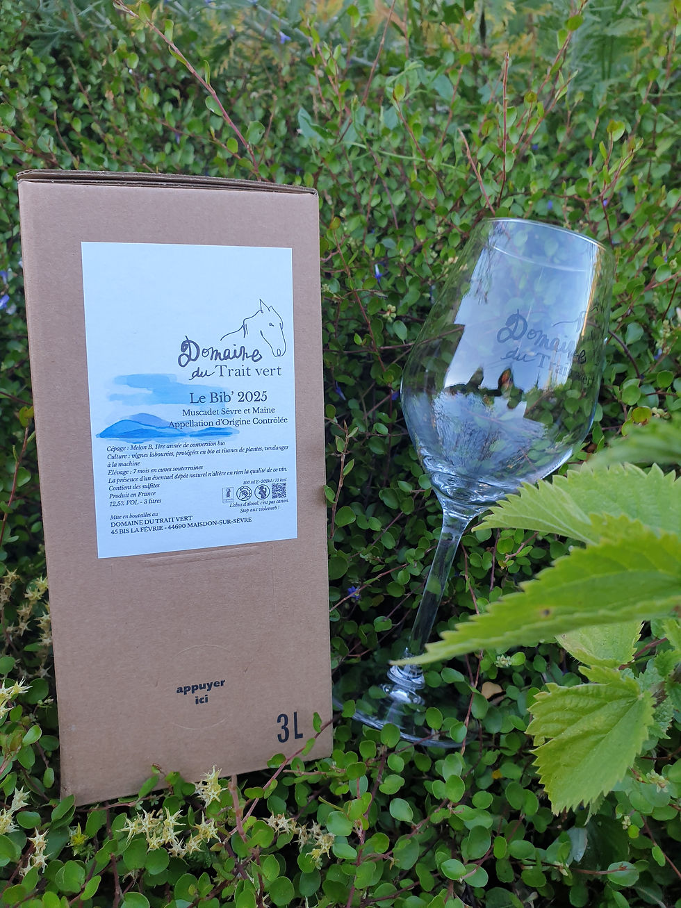 Edition "Bib 2025", une version en petit cubi pour un Muscadet toujours au frais