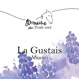 etiquette Muscari.jpg