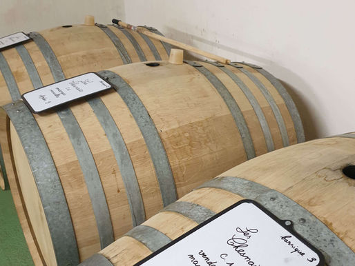 Les différents contenants utilisés pour l'élevage de nos vins