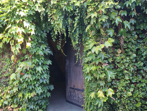 Entrée du chai