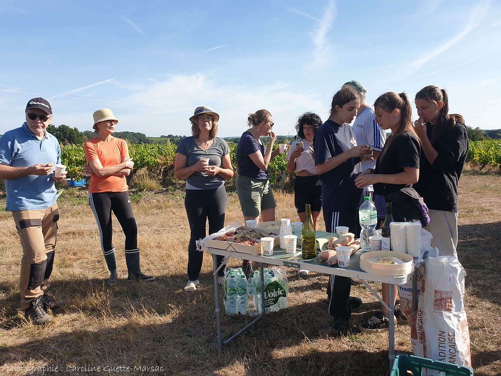 Pause conviviale en milieu de matinée pour reposer les dos endoloris