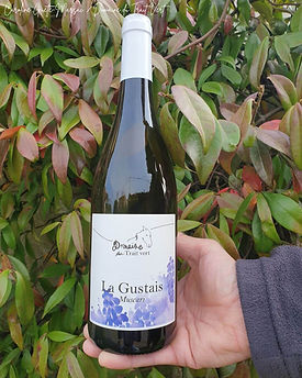 LaGustais-Muscari-2025.jpg