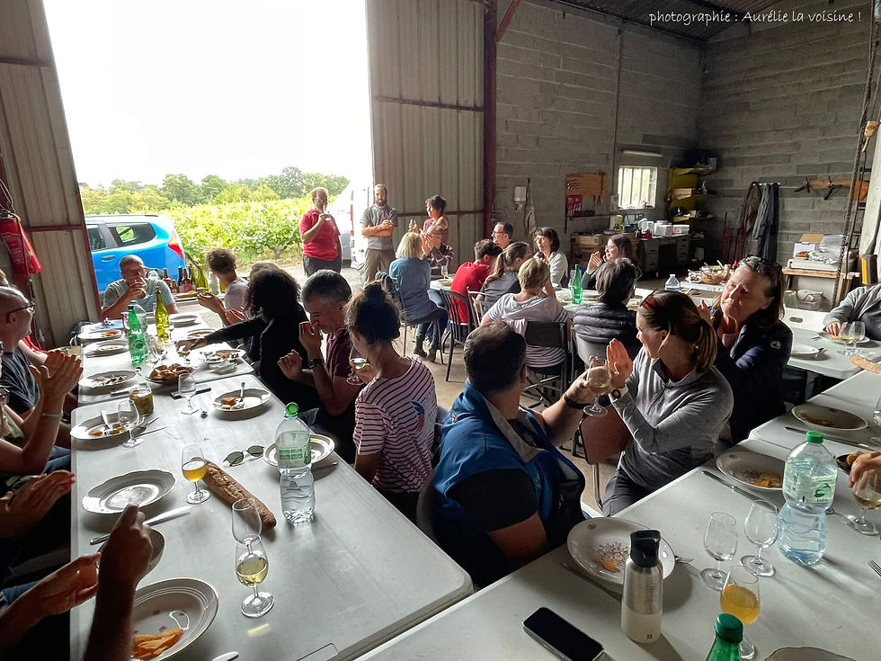 Repas de vendanges convivial
