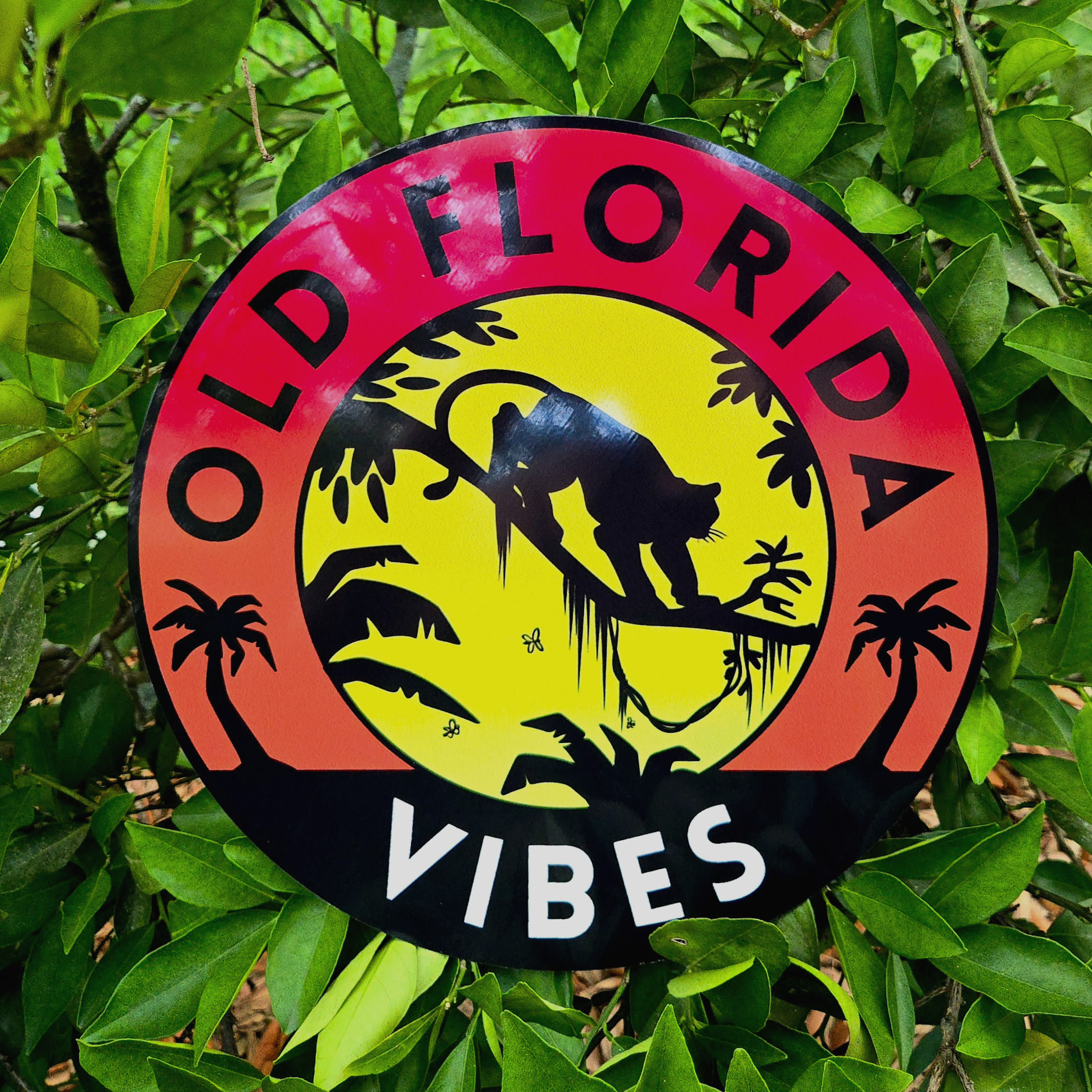 Panther Sunset OFV Logo - Metal Print