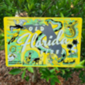 Floridian Collage - Metal Print