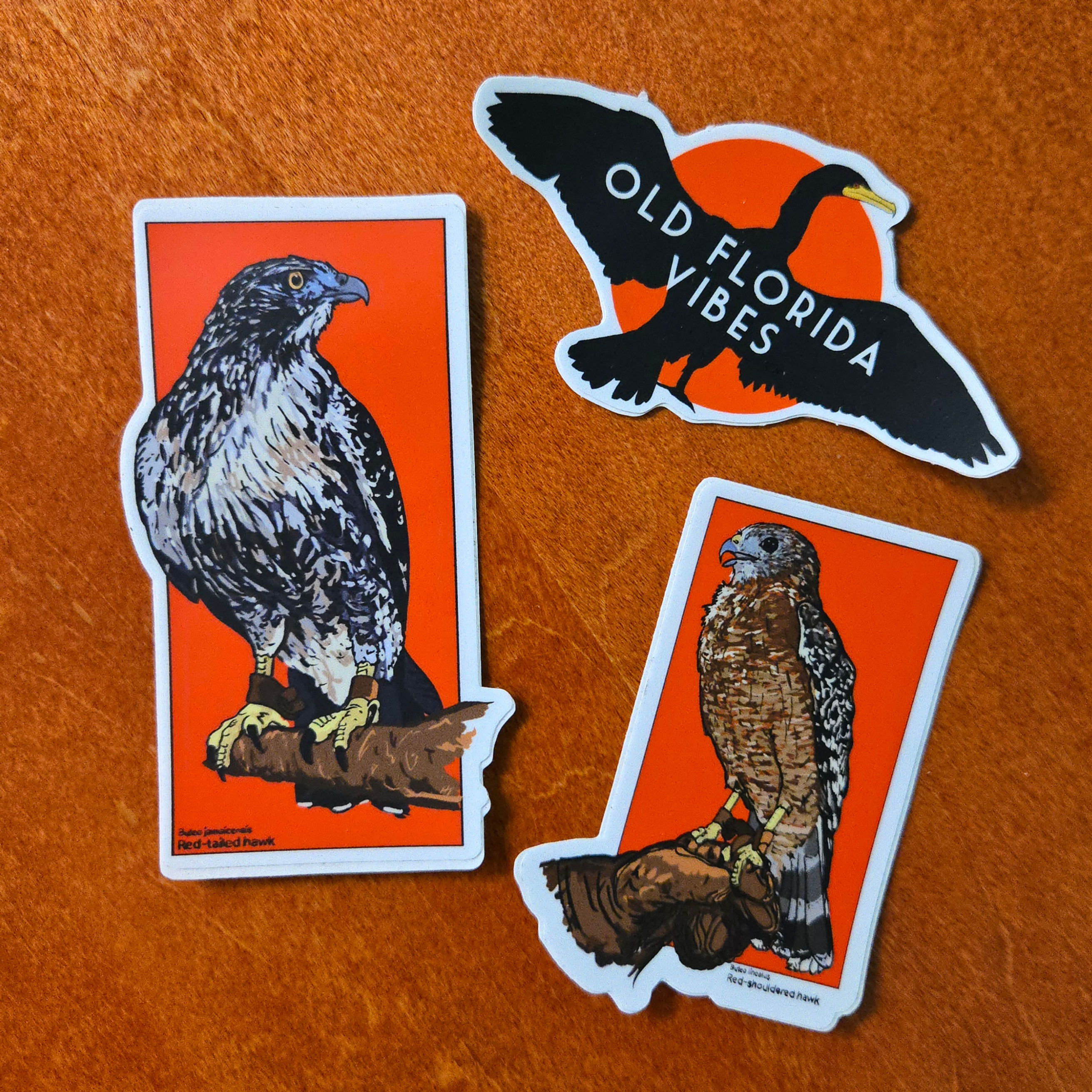 Florida Birds - Sticker Pack
