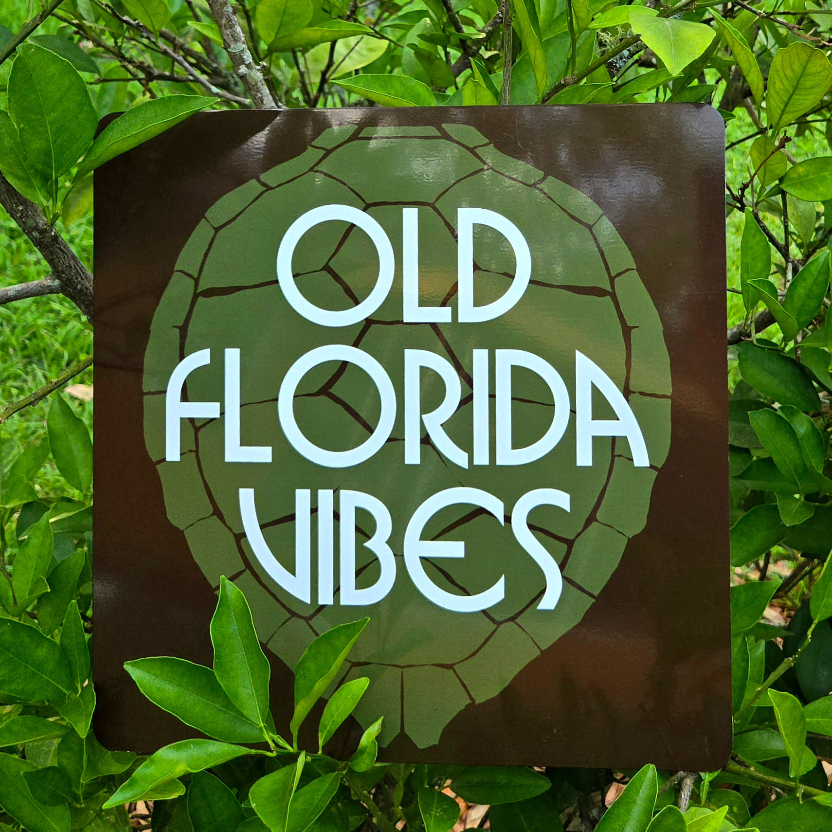 Turtle Vibes - Metal Print