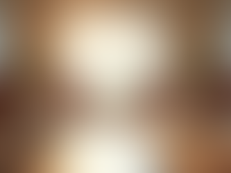 Family Law Mediation in Florida