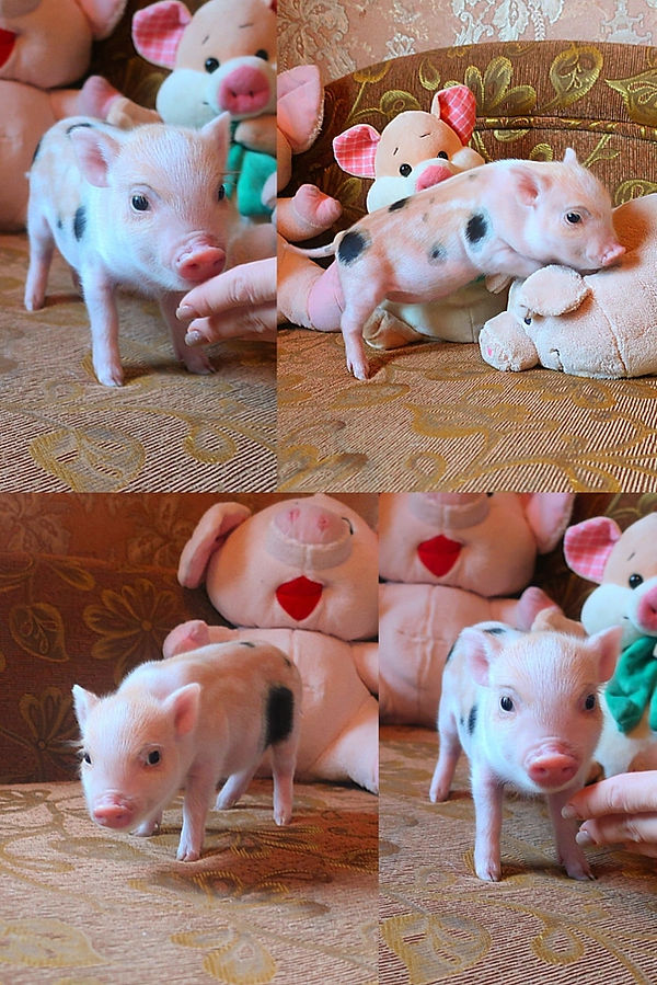 lFbN3wIEmFrc2jKdlHm3AC6eDZqS2xNM5n_NRU4cDz8mFFgSD1uBXlfZjkGcHCsbwuB7CGSO4zem765MMFQ1Qf-W.j