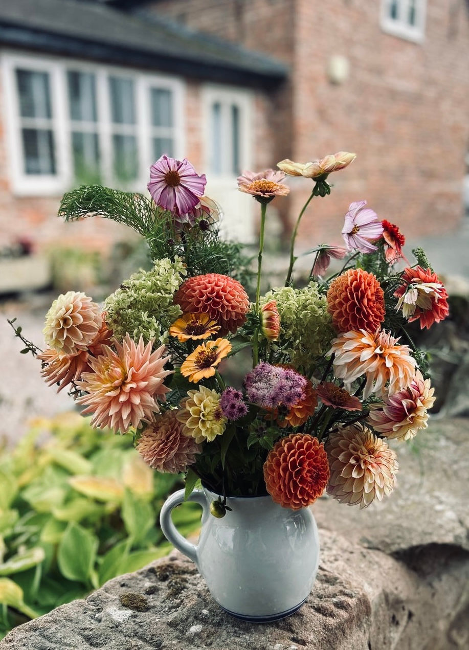 Pick your own flowers in the plot