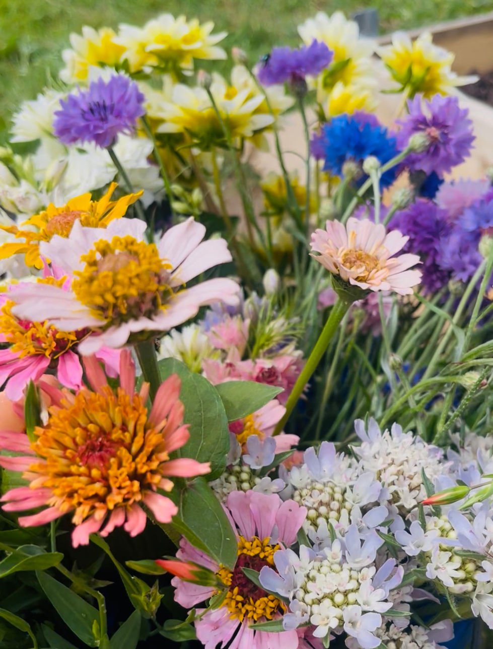 Mixed buckets of seasonal flowers