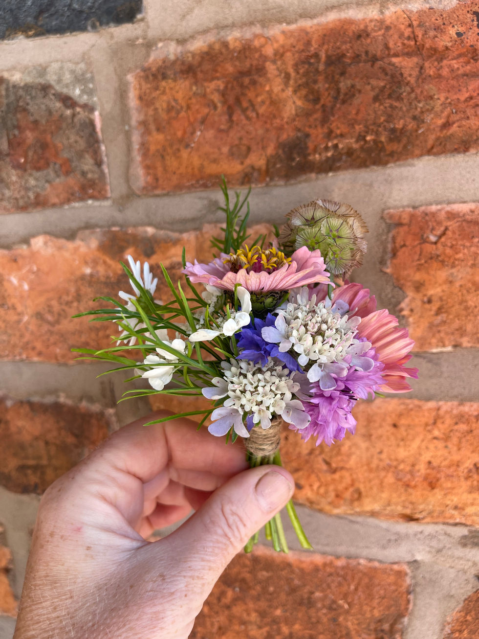 Buttonholes for the groomsmen