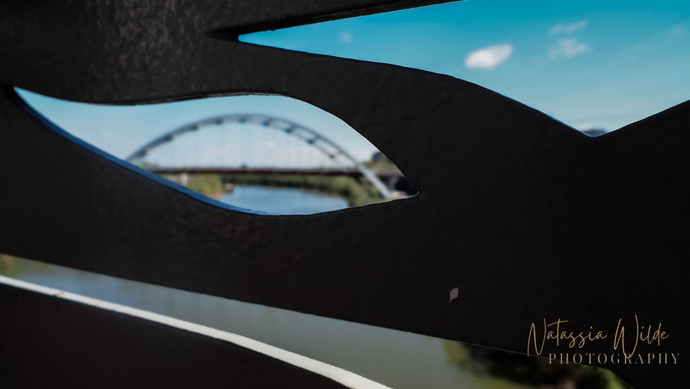 NashvilleApril2023-13.jpg
