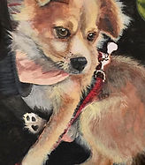 Deana Pets.jpg