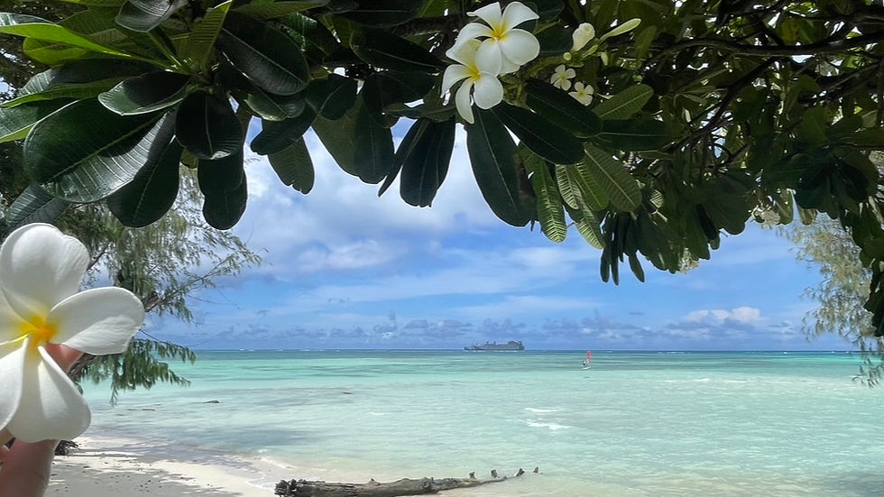 Comprehensive-sexual-education