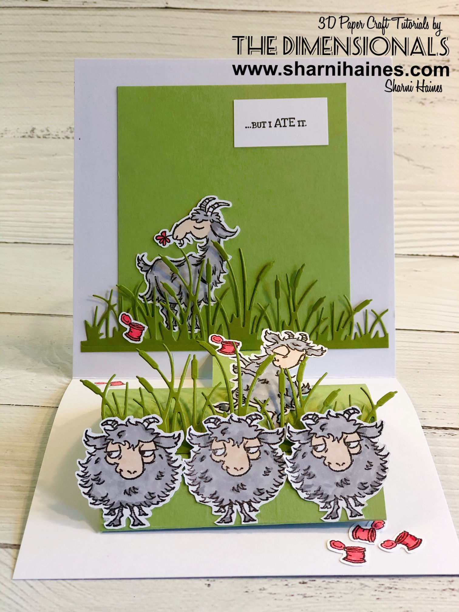 Way to Goat Auto Pull Tab Card Tutorial