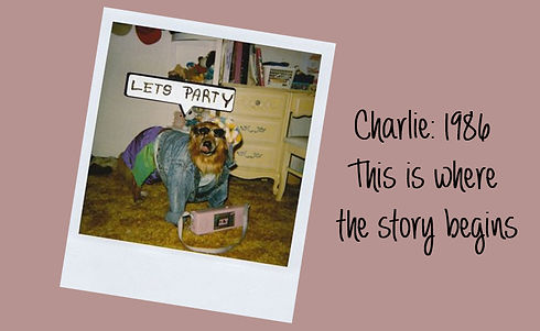 Charlie.jpg