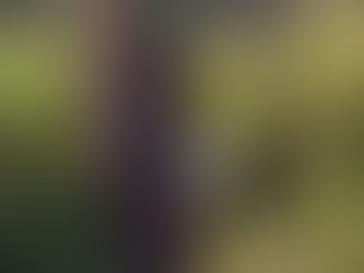 En el DIF Municipal #Huauchinango brindamos la atención y seguimiento al C. Angel N.