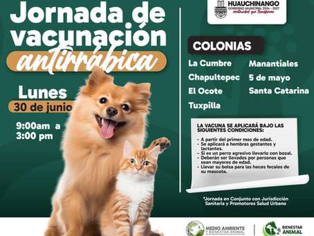 #Huauchinango || Jornada de Vacunación Antirrábica 2025  este 30 de junio.