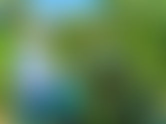 Productores de Huilacapixtla fortalecen la calidad del aguacate Hass con apoyo del Gobierno Municipal de Huauchinango.