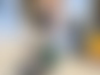 Realizan fumigación y descacharrización en panteones de Huauchinango