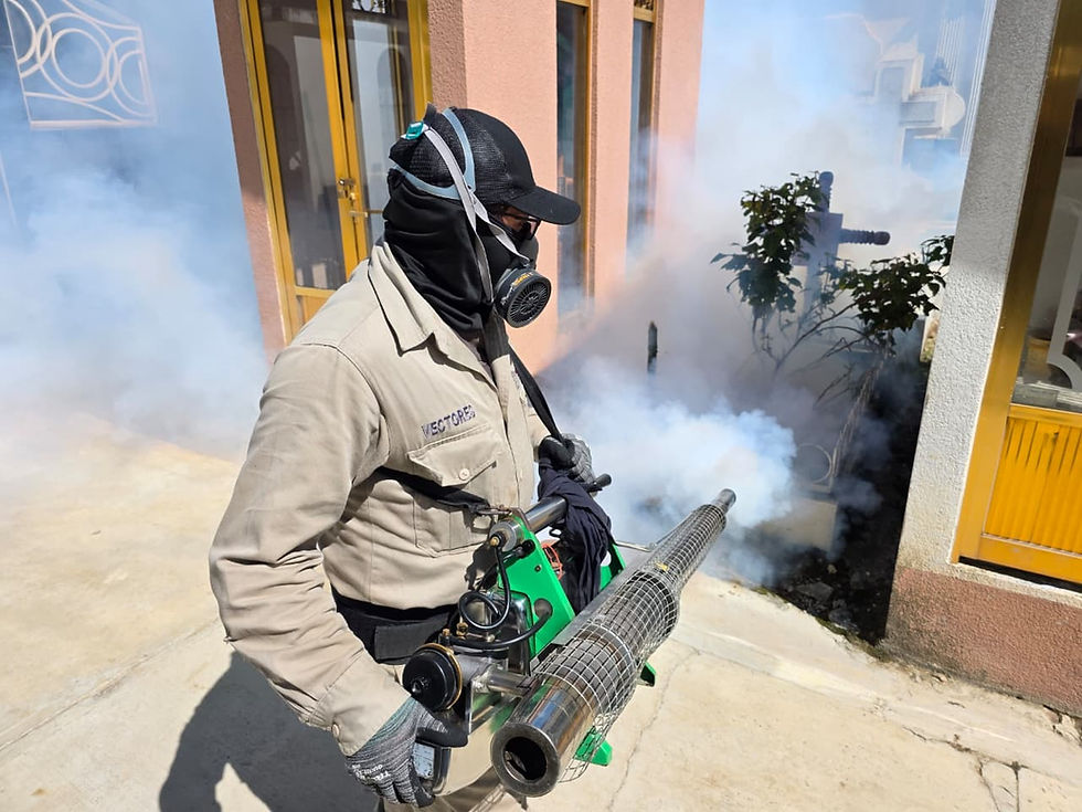 Realizan fumigación y descacharrización en panteones de Huauchinango