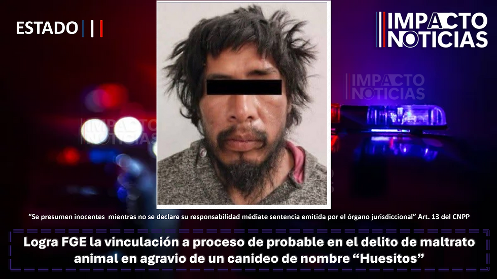 A juicio oral presunto agresor de “Huesitos”, canino víctima de maltrato en Santiago Miahuatlán