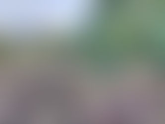 Huauchinango refuerza la producción de aguacate con apoyo agronómico