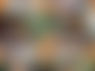 Decorem el nostre nom