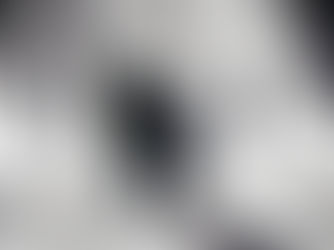 Canadian Snowbirds: Set Free or Safe at Home